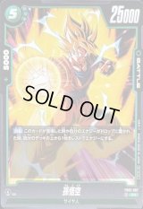 孫悟空(パラレル)【R☆】{FB01-087}