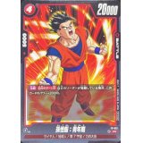 孫悟飯：青年期【PR】{FP-013}