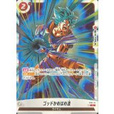 ゴッドかめはめ波(溜め)【C】{FS01-16}