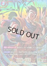 〔状態B〕孫悟飯:青年期(パラレル/金文字/孫悟飯&ピッコロ)【SR☆】{FB02-018}