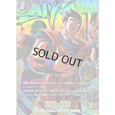 画像1: 〔状態B〕孫悟飯:青年期(パラレル/金文字/孫悟飯&ピッコロ)【SR☆】{FB02-018}