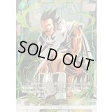 パラガス：BR(パラレル/金文字/膝つき)【C☆】{FB06-057}