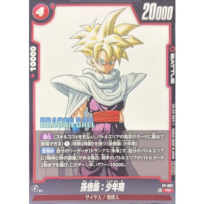 画像1: 〔状態B〕孫悟飯：少年期【PR】{FP-057}