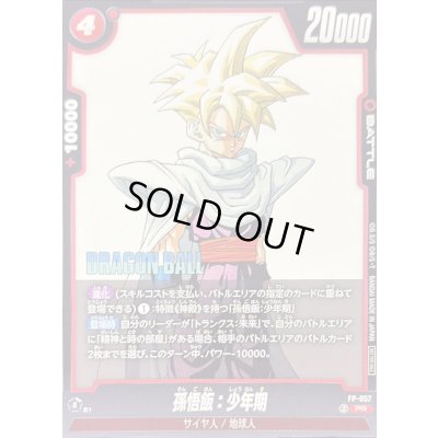 画像1: 孫悟飯：少年期【PR】{FP-057}