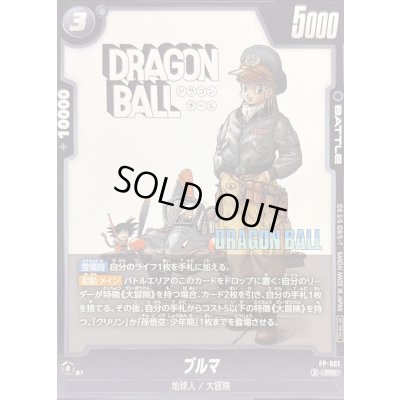 画像1: ブルマ【PR】{FP-061}