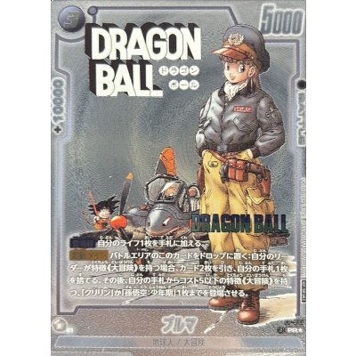 画像1: ブルマ(パラレル)【PR☆】{FP-061}