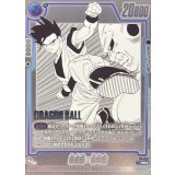 孫悟飯：青年期(パラレル)【PR☆】{FP-058}