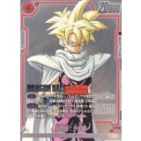 孫悟飯：少年期(パラレル)【PR☆】{FP-057}