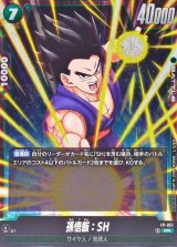 孫悟飯：SH【PR】{FP-051}