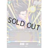 孫悟飯：SH【PR】{FP-051}