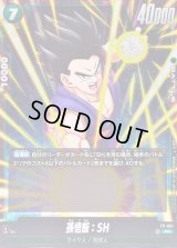 孫悟飯：SH【PR】{FP-051}