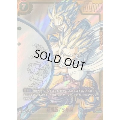 画像1: 孫悟飯：少年期(パラレル/漫画絵)【SCR☆☆】{FB01-140[SB02]}