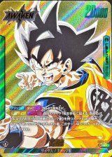 孫悟空(パラレル/漫画絵)【L☆】{SB02-033}