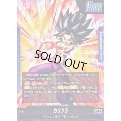 画像2: カリフラ(パラレル)【L☆】{FB08-025}
