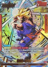 孫悟飯：青年期(パラレル)【L☆】{FB08-001}