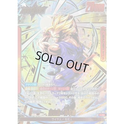 画像1: 孫悟飯：青年期(パラレル)【L☆】{FB08-001}