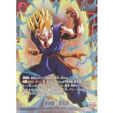 孫悟飯：青年期(パラレル)【PR☆】{FP-063}