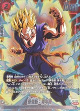 孫悟飯：青年期(パラレル)【PR☆】{FP-063}