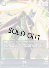 〔状態B〕セル【PR】{FP-065}