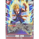 孫悟飯：青年期【PR】{FP-063}