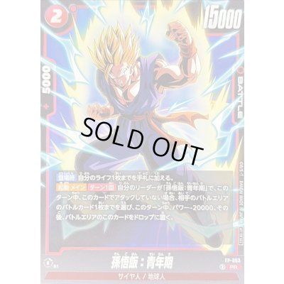 画像1: 〔状態B〕孫悟飯：青年期【PR】{FP-063}