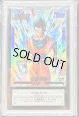 〔ARS10鑑定済〕孫悟飯：青年期(パラレル)【L☆】{FB04-026}