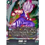 孫悟飯：SH【SR】{FB09-060}