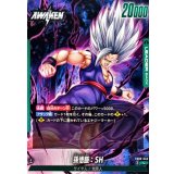 孫悟飯：SH【L】{FB09-049}