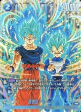 孫悟空/ベジータ【PR】{FP-075}