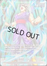 孫悟飯：SH【PR】{FP-072}