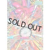 孫悟空：BR(未開封/パラレル/金文字)【R☆】{FB09-010}