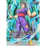 孫悟飯：SH【PR】{FP-072}