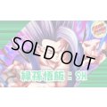 緑孫悟飯：SH【ver1.1】{-} [デッキ販売]