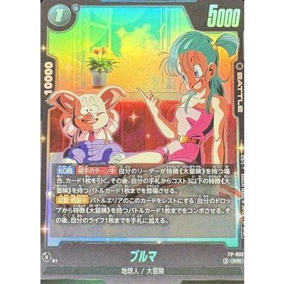画像1: 〔状態B〕ブルマ【PR】{FP-082}