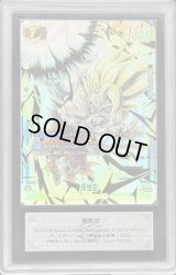 〔ARS10鑑定済〕孫悟空(パラレル)【SCR☆☆】{FB05-119}