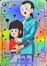 ビーデル：GT(パラレル)【C☆】{FB09-113}