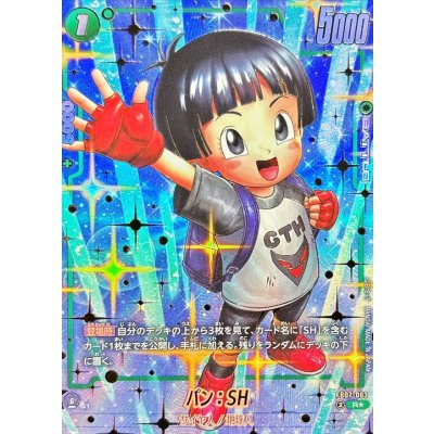画像1: 〔状態B〕パン：SH(パラレル/金文字)【R☆】{FB07-063}