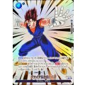 ファイナルかめはめ波(パラレル)【R☆】{FB10-045}