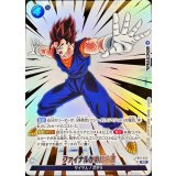 ファイナルかめはめ波(パラレル)【R☆】{FB10-045}