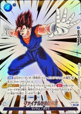 ファイナルかめはめ波(パラレル)【R☆】{FB10-045}