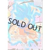 〔状態A-〕孫悟空：BR(パラレル)【R☆】{FB10-012}