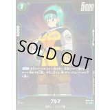 ブルマ【R】{FB05-062}