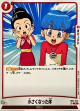 小さくなった体【C】{FB05-023}