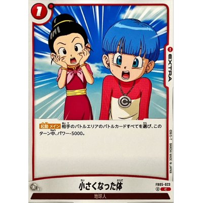 画像1: 小さくなった体【C】{FB05-023}