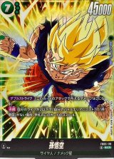 孫悟空【SCR】{FB05-119}