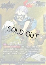 ブルマ(パラレル/漫画絵)【L☆】{SB01-045}