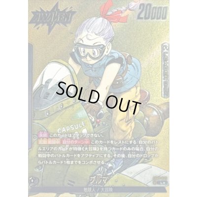 画像1: ブルマ(パラレル/漫画絵)【L☆】{SB01-045}