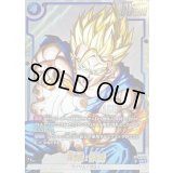 孫悟飯：青年期(パラレル/漫画絵)【UC☆】{SB02-026}