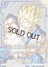 孫悟飯：青年期(パラレル/漫画絵)【UC☆】{SB02-026}