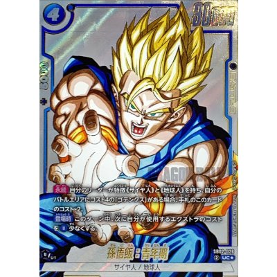 画像1: 孫悟飯：青年期(パラレル/漫画絵)【UC☆】{SB02-026}